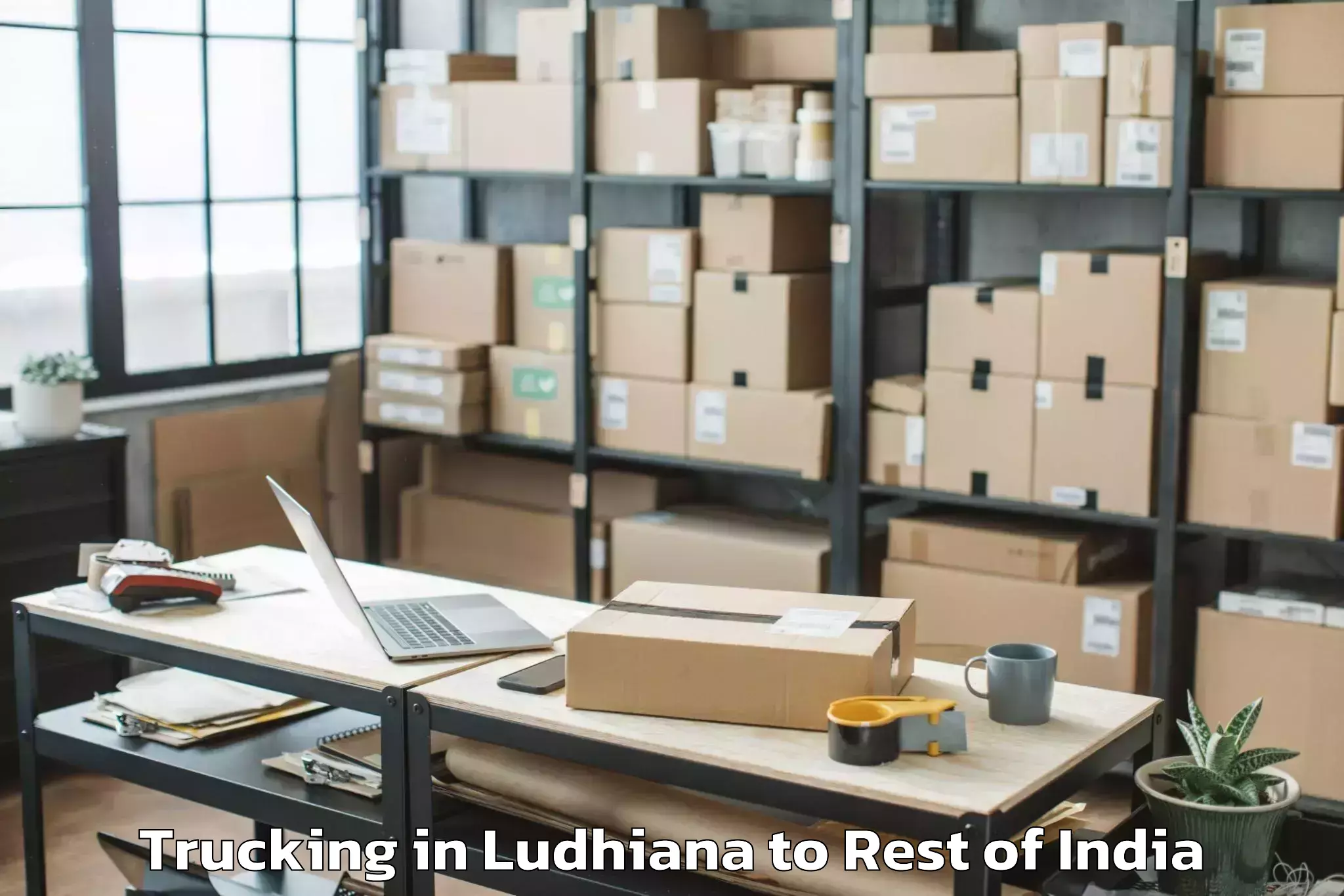 Top Ludhiana to Kokernag Trucking Available